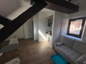 T2 meublé de 22 m² en centre-ville — Poitiers — Poitiers — photo 1